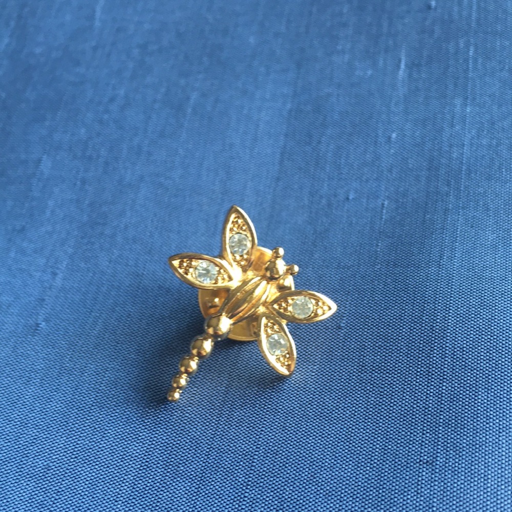 Dior scatter Pin